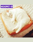 HOOPET zwierzęta domowe są łóżko dla psów kot Mat zwierzęta koc hodowla Teddy cztery pory roku, trwała, miękka chleb tostowy i j