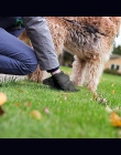 BOLUX, ulegające degradacji pies torebki na odchody zwierzęce przyjazne dla środowiska zwierzęta domowe są worki na śmieci dozow