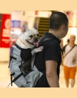 Oddychająca Pet torba do noszenia psa dla dużych psów Golden Retriever buldog plecak regulowany duży pies torby podróżne produkt