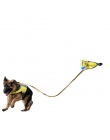 Hoomall Pet Dog Carrier na świeżym powietrzu Snak torby dla psów koty siatki przenośny odpinany dla zwierząt pies pociąg torebki