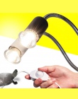 Lampa gadów zestaw UVA + UVB 3.0 klips lampy i staje w sytuacji sam na sam żarówka lampy uchwyt termometr higrometr żółw żółwie 
