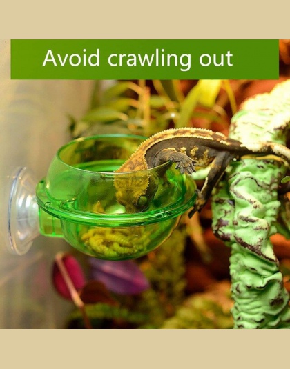 Adeeing Anti-escape miska na karmę robak na żywo paszy pojemnik na zwierzęta domowe są jaszczurka kameleon
