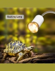 Terrarium gady jaszczurka żółw pławiąc się lampy 110-240 V halogenowe zwierzęta domowe są lampa grzewcza ochrona przed promienio