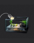 Terrarium gady jaszczurka żółw pławiąc się lampy 110-240 V halogenowe zwierzęta domowe są lampa grzewcza ochrona przed promienio
