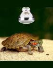 25/50/75/100 W Mini gadów lampy światła dziennego światła termicznego dla tej lampy węże jaszczurki żółw E27 gady płazów zwierzą