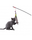 Wysokiej jakości zabawka dla zwierząt domowych nowo zaprojektować pióro ptak pluszowe plastikowe zabawka dla kotów kota łapacz ł
