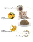 Naturalna kocimiętka zabawki dla kotów szalony zdrowy kot zabawki dla kotka jadalne leczenia do czyszczenia zębów kota Pet Suppl