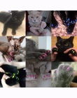 100 pcs-koty kotek łapy do pielęgnacji paznokci pazur czapka + 5 klej klej + 5 aplikator z miękkiej gumy paznokcie zwierząt domo