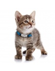 Nylon obroża dla kota spersonalizowane obroże dla zwierząt domowych z, imię i nazwisko, adres, Tag odblaskowe Chihuahua kotek ob