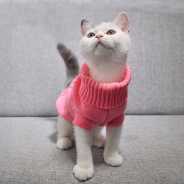 Zwierzęta pies kot odzież zima jesień ciepłe kot dziergany sweter z dzianiny Puppy mops płaszcz ubrania sweter z dzianiny koszul