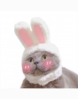 Zabawne zwierzęta pies kot Cap kostium ciepłe królik kapelusz nowy rok Party boże narodzenie Cosplay akcesoria zdjęcie rekwizyty