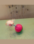 2018 New Arrival wytrzymałe zabawki dla zwierząt domowych Mimi ulubione futerko mysz kubek kotek zabawki dla kota z tworzywa szt