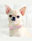 Spersonalizowane obroża dla kota Rhinestone Puppy dla małych psów obroża dla na zamówienie dla Chihuahua Yorkshire darmowa nazwa
