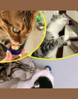 Nowy przekąski Cat kocimiętka cukier cukierki lizanie stałe odżywianie żel Energy Ball dla Kitten koty zdrowego trawienia żywnoś