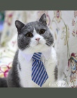 [MPK krawaty] słodkie zwierzęta domowe są krawaty, obroża dla psa obroża dla kota, zwierzęta domowe są muszki, pies krawat, inte