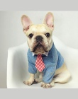 [MPK krawaty] słodkie zwierzęta domowe są krawaty, obroża dla psa obroża dla kota, zwierzęta domowe są muszki, pies krawat, inte