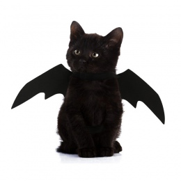 Zwierzęta pies kot Bat Wing Cosplay Prop Halloween Bat Fancy Dress kostium skrzydła 88 do Drop Ship