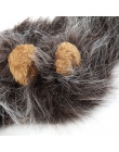Moda kot piękny kostium dla zwierząt lwy peruka z grzywą dla kota Halloween sukienka na przyjęcie bożonarodzeniowe się z ucha od