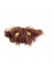 Moda kot piękny kostium dla zwierząt lwy peruka z grzywą dla kota Halloween sukienka na przyjęcie bożonarodzeniowe się z ucha od