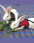 Nowy czarny królik smycz realizacji kamizelka małe zwierzęta siatki bawełniane obroże kot chomika czerwone uprzęże S M L szelki 
