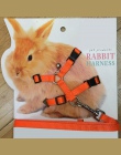 Zwierzęta domowe są królik miękkie szelki smycze korygujący Bunny trakcji liny do biegania E2S