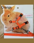 Zwierzęta domowe są królik miękkie szelki smycze korygujący Bunny trakcji liny do biegania E2S