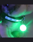 Nowy LED dla zwierząt domowych wisiorek do obroży noc bezpieczeństwa wisiorek świecące światło nocne pedantów kot Puppy dioda LE