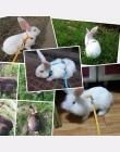 Wygodne dla zwierząt królik miękkie szelki smycze korygujący Bunny trakcji liny do biegania @ LS JY04