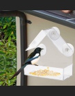 Przezroczysty akryl typu adsorpcji dom kształt karmnik dla ptaków innowacyjnych ssania kubek podajnik