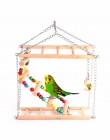 Papugi zabawki ptak huśtawka ćwiczenia wspinaczka wiszące drabiny most drewniane Rainbow zwierzęta domowe są papuga ara hamak za