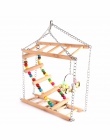 Papugi zabawki ptak huśtawka ćwiczenia wspinaczka wiszące drabiny most drewniane Rainbow zwierzęta domowe są papuga ara hamak za