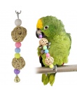 Hot multicolor koraliki ptak zabawki zwierzęta papuga zabawki ptak drabiny Parakeet huśtawka wiertła rainbow parakeet drabiny ch