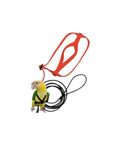 Anti-bite latające lina treningowa papuga ptak smycz zestawy Ultralight szelki smycze měkké przenośny Pet zabawki
