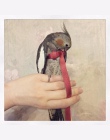 Anti-bite latające lina treningowa papuga ptak smycz zestawy Ultralight szelki smycze měkké przenośny Pet zabawki