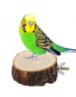 1 sztuk śmieszne moda papuga dla zwierząt domowych do żucia zabawki drewniane wiszące huśtawka klatka dla ptaków nimfa klatki