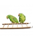 Zabawki dla ptaków drabiny drewniane Rocking Scratcher Perch wchodzenie po schodach chomiki klatka dla ptaków papuga zabawki dla