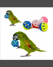 Zwierzęta domowe są papuga zabawki ptak Hollow piłka z dzwonkami dla papugi Cockatiel do żucia zabawy klatka zabawki