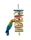 Zwierzęta domowe są ptak papuga Parakeet Budgie Cockatiel klatka wspinaczka drabiny hamak huśtawka zabawki wisząca zabawka akces