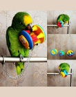 Śliczne Pet ptak z tworzywa sztucznego do żucia piłka łańcuch klatka zabawka dla papuga Cockatiel Parakeet zwierzęta domowe są p