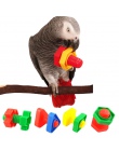 4 PC papuga zabawki Chew ukąszenia huśtawka klatka nakrętki śruby śruba zabawka dla papugi Cockatiel kakadu szkolenia zabawki Dr
