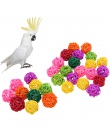 10 sztuk/20 sztuk papuga kula ratanowa zabawki ptak do żucia mielenia zabawki klatka dla ptaków Decor śmieszne dla zwierząt domo