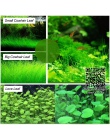 Roślin wodnych Waterweed wody nasion trawy roślin akwariowych nasiona, para/Cowhair/miłość/Lucky/serce/czerwony liść fish tank w