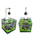 Nasiona roślin akwariowych woda zielona woda trawa dekoracja łatwe sadzenie Fish Tank krajobraz Ornament