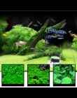 7 stylów akwarium rośliny wodne woda trawa 20g nasiona krowa-włosy miłość szczęście nasiona Fish Tank rośliny dekoracji krajobra