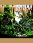 1 PC dekoracyjne akwarium ryby akwarium roślin drewno z morza Fish Tank naturalny pień drzewa drewno z morza akwarium dekoracji