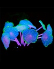 11 liście silikonowe sztuczne akwarium akwarium Coral roślin ozdobnych zwierząt domowych pod wodą dekory darmowa wysyłka