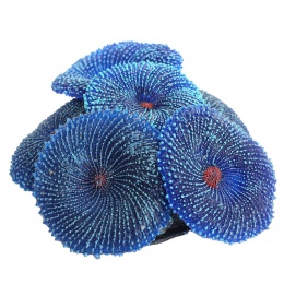 Akwarium dekoracyjne sztuczny koral z żywicy morze roślin Ornament silikonowe nietoksyczne niebieski