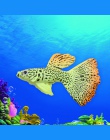 Wystrój złota rybka Peacoak meduzy akwarium dekoracji sztuczny efekt świetlny blask w ciemności ryby zbiornik Ornament darmowa w