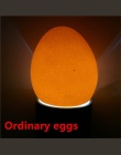 1 sztuk inkubator Eggtester jaj świecenia lampa 9 LED Super zimno sprzęt inkubacji jaj kurczaka narzędzie darmowa wysyłka