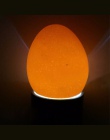 1 sztuk inkubator Eggtester jaj świecenia lampa 9 LED Super zimno sprzęt inkubacji jaj kurczaka narzędzie darmowa wysyłka